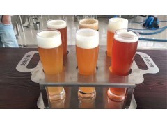 啤酒酿造设备多少钱   自酿啤酒设备多少钱图5