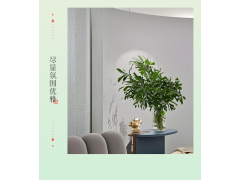 蓝翠鸟玛拉彩石艺术漆防霉耐擦洗抗免腻子施工快干图3